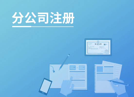 深圳注册分公司资料流程