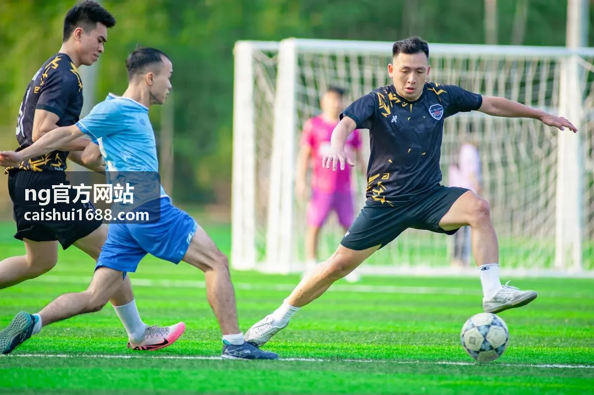 NG官方网站一般纳税人代理记账与进销项管理