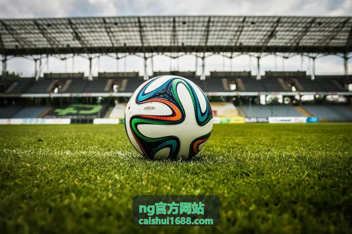 NG官方网站增值税申报与发票管理