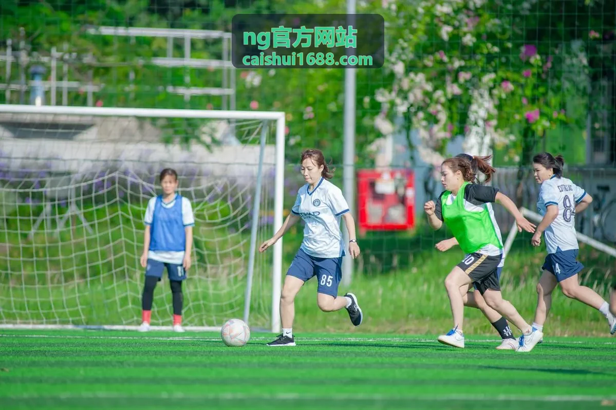 NG官方网站公司注销与清算办理