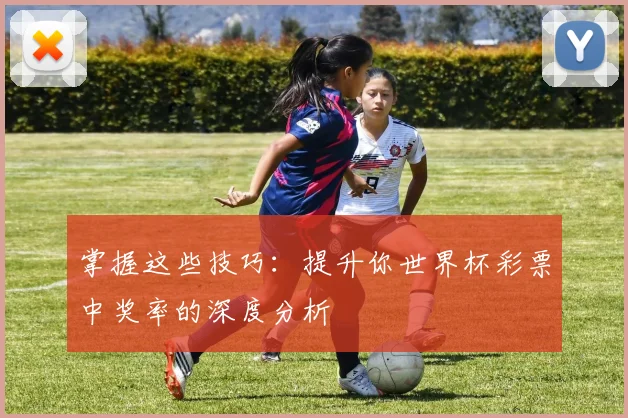 掌握这些技巧：提升你世界杯彩票中奖率的深度分析