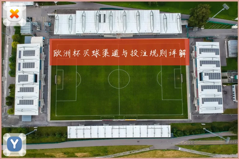 欧洲杯买球渠道与投注规则详解