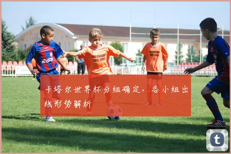 卡塔尔世界杯分组确定,各小组出线形势解析