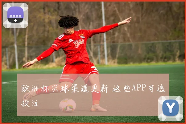 欧洲杯买球渠道更新 这些APP可选投注