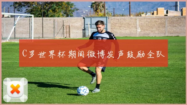 C罗世界杯期间微博发声鼓励全队
