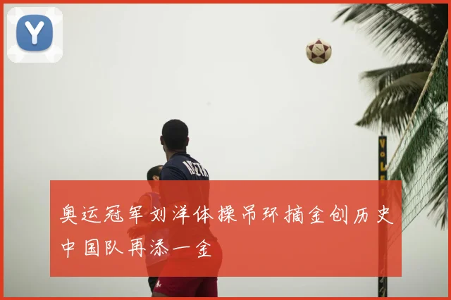 奥运冠军刘洋体操吊环摘金创历史中国队再添一金